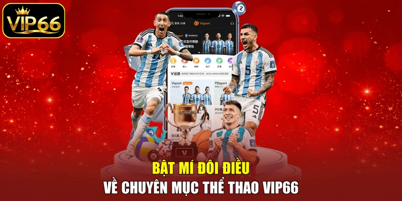 Bật mí đôi điều về chuyên mục thể thao VIP66