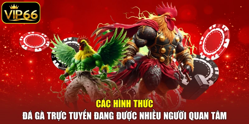Các hình thức đá gà trực tuyến đang được nhiều người quan tâm
