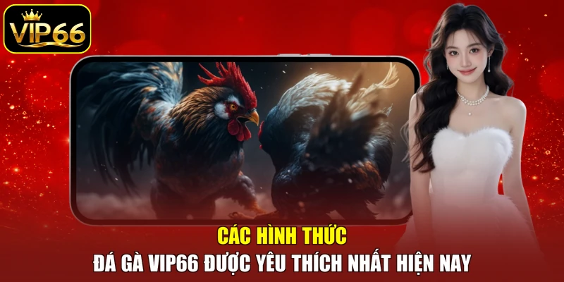 Các hình thức đá gà VIP66 được yêu thích nhất hiện nay