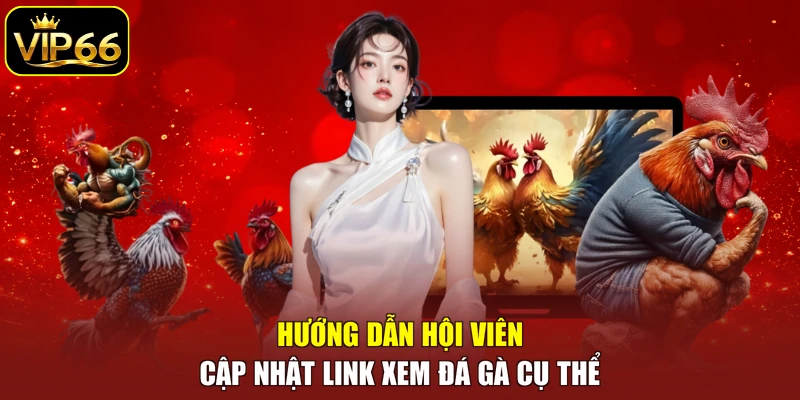 Hướng dẫn hội viên cập nhật link xem đá gà cụ thể