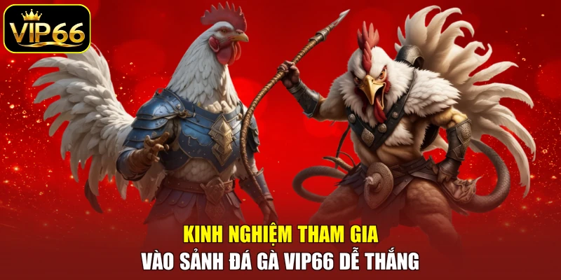 Kinh nghiệm tham gia vào sảnh đá gà VIP66 dễ thắng