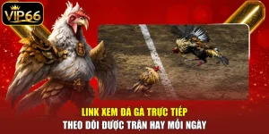 Link xem đá gà