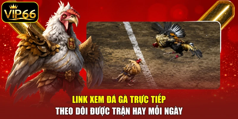 Link xem đá gà