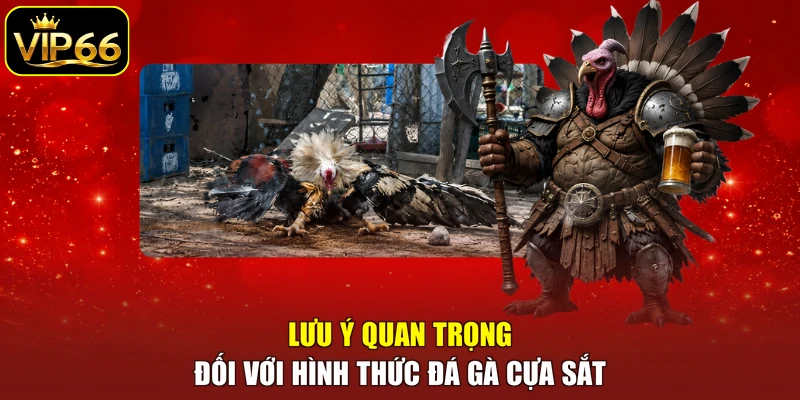Lưu ý quan trọng đối với hình thức đá gà cựa sắt