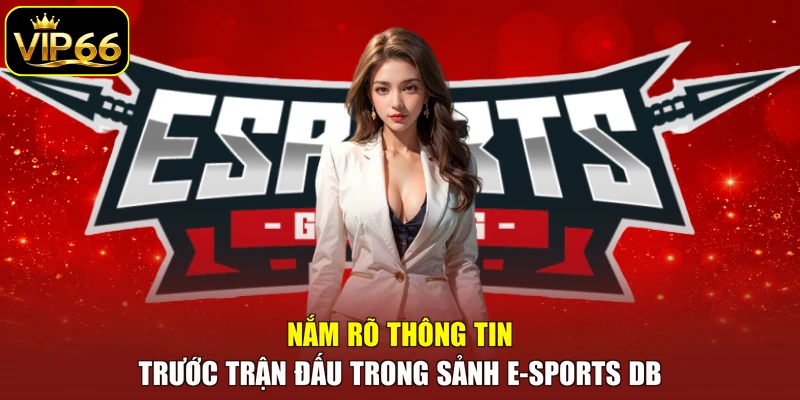 Nắm rõ thông tin trước trận đấu trong sảnh E-sports DB
