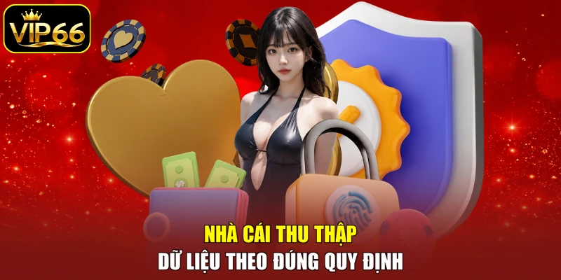 Nhà cái thu thập dữ liệu theo đúng quy định