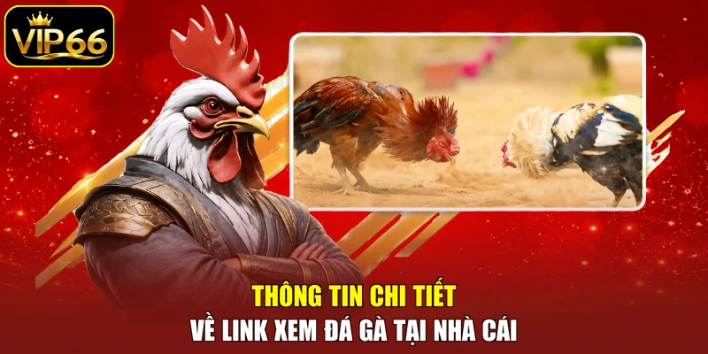 Thông tin chi tiết về link xem đá gà tại nhà cái