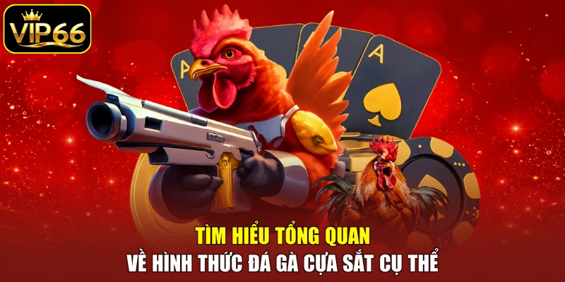 Tìm hiểu tổng quan về hình thức đá gà cựa sắt cụ thể