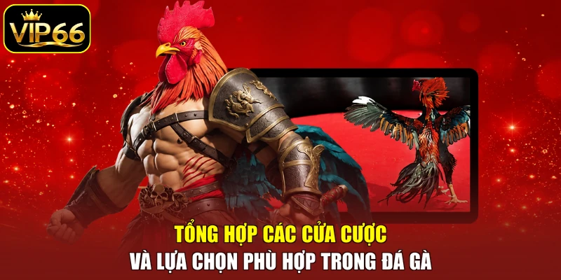 Tổng hợp các cửa cược và lựa chọn phù hợp trong đá gà