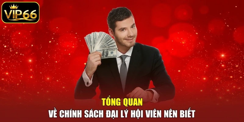 Tổng quan về chính sách đại lý hội viên nên biết